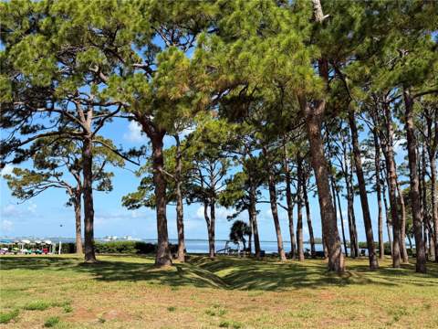 2700 Bayshore Boulevard #2108, Dunedin FL - photo 6 of 39