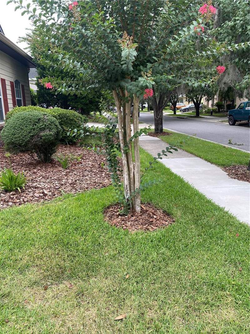 4 bedroom Single Family Residence at 8389 SW 80th Place, Longleaf Unit 2 Ph 5, Gainesville — photo 3