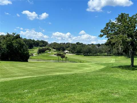 2446 Sweetwater Country Club Drive, Apopka FL - photo 22 of 47