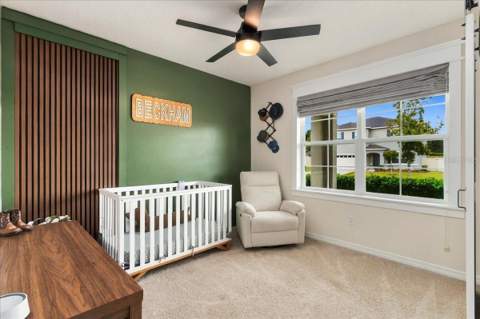 5244 Greenheart Avenue, Mount Dora FL - photo 14 of 28