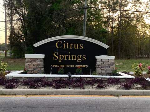 547 W Homeway Loop, Citrus Springs FL - photo 6 of 6