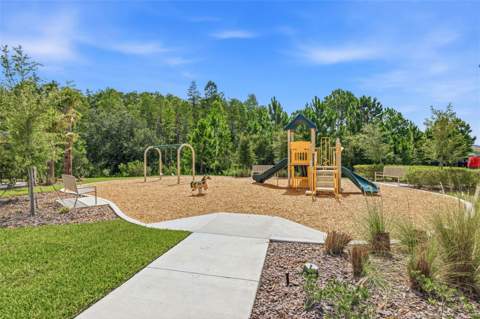 2541 Bending Bonsai Drive, Wesley Chapel FL - photo 24 of 35