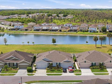 10335 Heron Hideaway Loop, Land O Lakes FL - photo 6 of 6