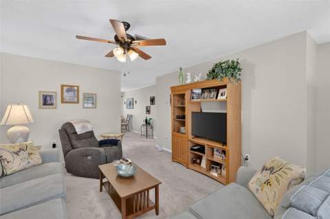 445 S Grandview Street #8, Mount Dora FL - photo 9 of 25