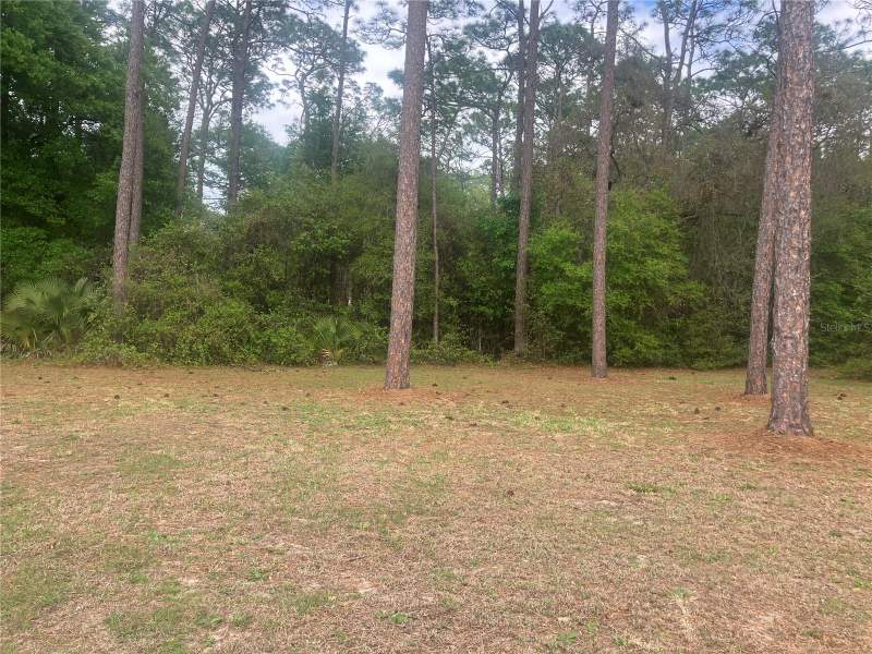 4 bedroom Manufactured Home at SE 19th Place SE 19th Place, Silver Spgs Village, Silver Springs — photo 5