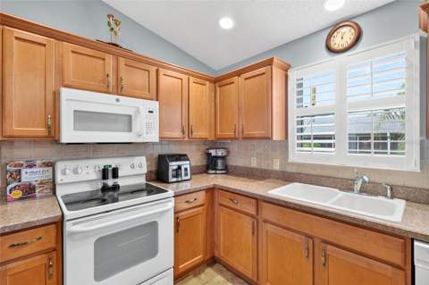 954 Barrymoore Loop, The Villages FL - photo 11 of 27
