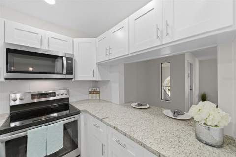 1135 Pine Ridge Circle #A2, Tarpon Springs FL - photo 18 of 64