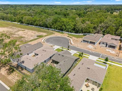 454 Skyfield Court, Lady Lake FL - photo 20 of 21