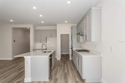 33437 Twilight Sea Place, Dade City FL - photo 12 of 32
