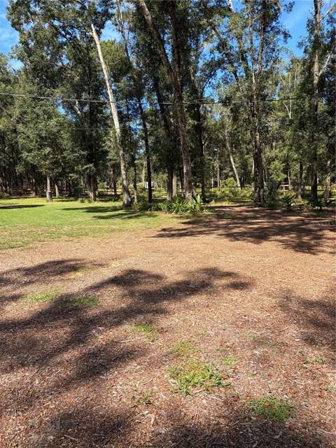 6401 Sunnyside Ranch Road, Brooksville FL - photo 17 of 80