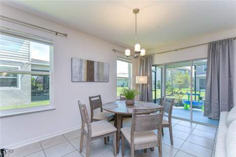 8325 Olive Brook Drive, Wesley Chapel FL - photo 14 of 39