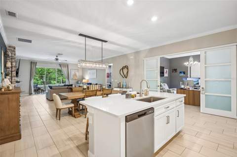 17022 Forge Surf Street, Land O Lakes FL - photo 12 of 62