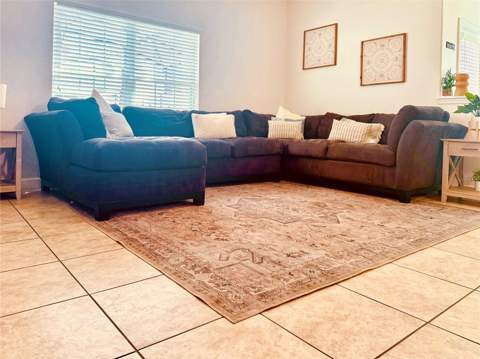 8964 Cat Palm Road, Kissimmee FL - photo 12 of 47