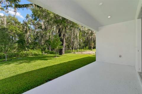 19451 Forest Garden Court, Brooksville FL - photo 15 of 17