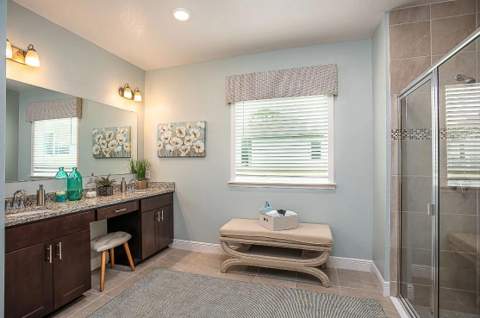 17219 NW 173rd Drive, Alachua FL - photo 10 of 25