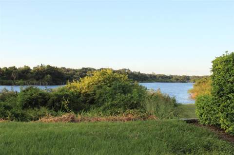 1304 Alameda Avenue, Clearwater FL - photo 8 of 48