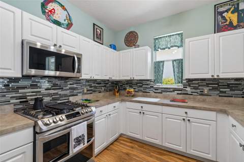 3550 Ferrell Street, New Port Richey FL - photo 13 of 99