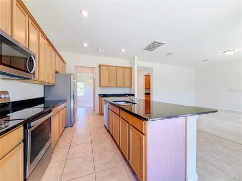 10079 Austrina Oak Loop, Winter Garden FL - photo 15 of 47