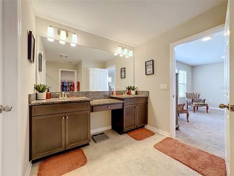 4923 Eagle Rock Drive, Wimauma FL - photo 23 of 44