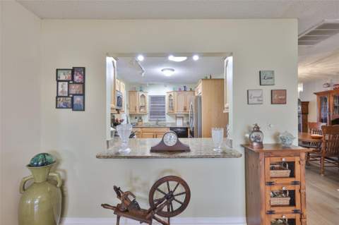 1511 Cloister Drive, Sun City Center FL - photo 24 of 41