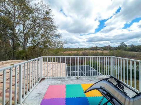 21150 Los Cabos Court, Land O Lakes FL - photo 6 of 6