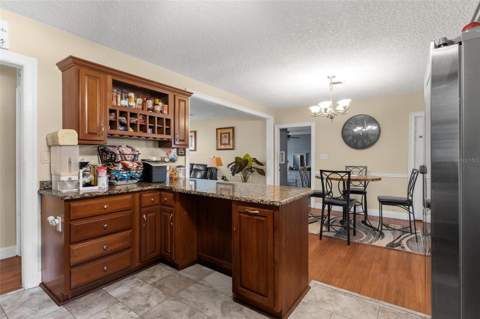 14407 Lake Junietta Drive, Tavares FL - photo 13 of 38