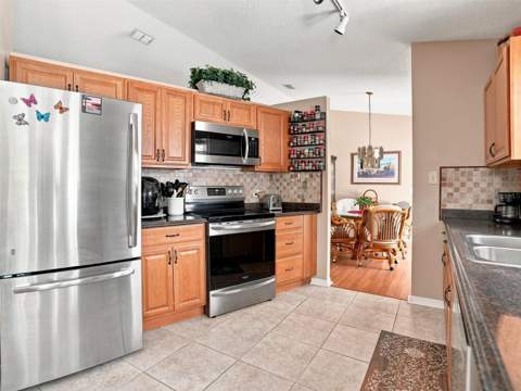 4382 Montano Avenue, Spring Hill FL - photo 10 of 46