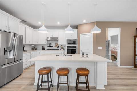 783 Little Cloud Place, Valrico FL - photo 6 of 6