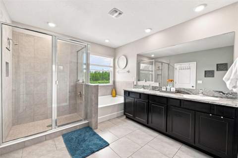 8673 Bower Bass Circle, Wesley Chapel FL - photo 20 of 43