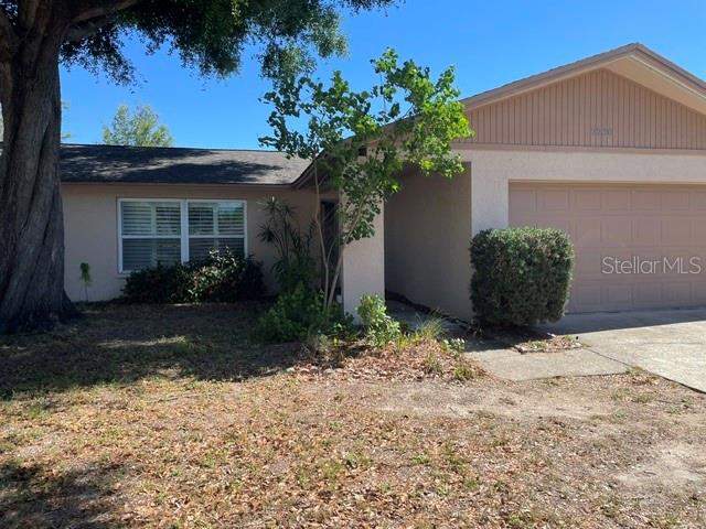 3 bedroom Single Family Residence at 2230 Birchbark Trail, Woodgate Of Countryside, Clearwater — photo 2