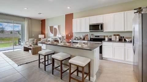 11208 Treasure Swale Way, Land O Lakes FL - photo 9 of 19