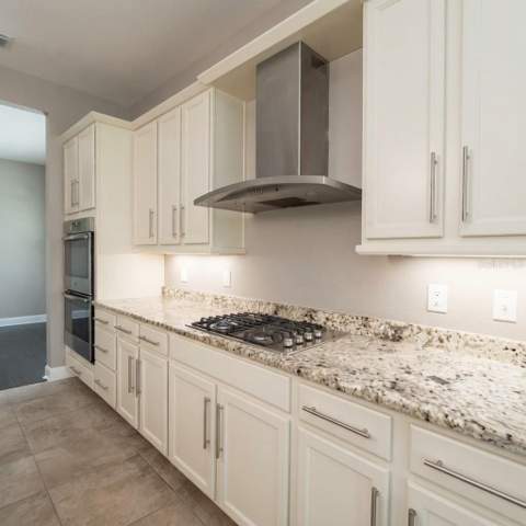 31261 Chesapeake Bay Drive, Wesley Chapel FL - photo 7 of 37