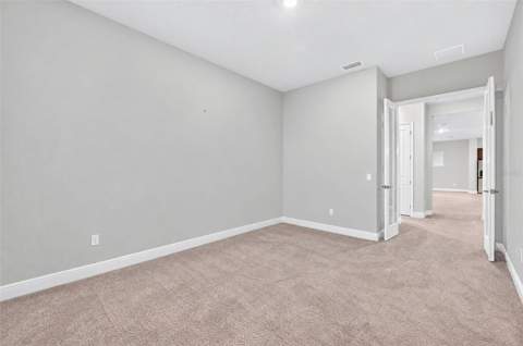 6035 Nikki Lane, Odessa FL - photo 22 of 33