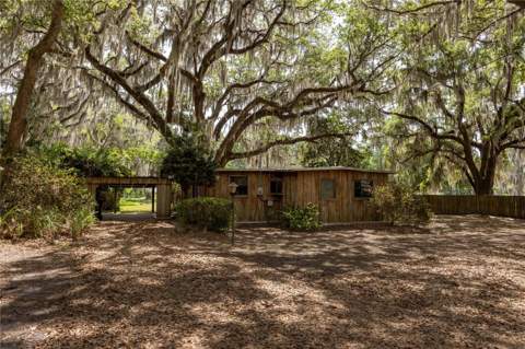 7305 NE 222nd Street, Melrose FL - photo 6 of 6