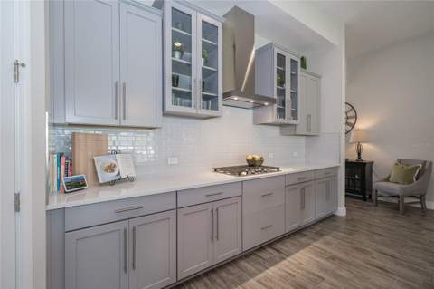 8687 Birchleaf Court, Land O Lakes FL - photo 12 of 78