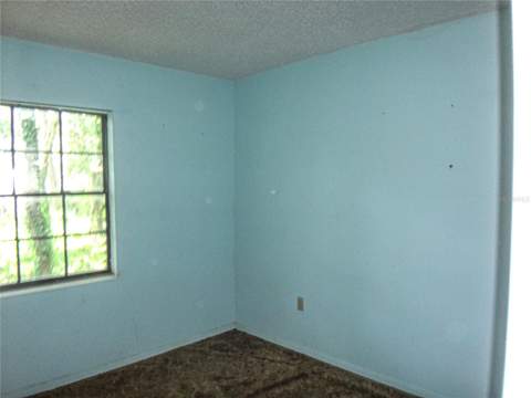 7556 23rd Street, Zephyrhills FL - photo 12 of 22