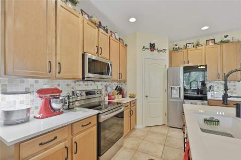 8718 Turnstone Haven Place, Tampa FL - photo 10 of 38
