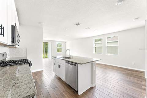 29991 Anahid Drive, Leesburg FL - photo 13 of 30