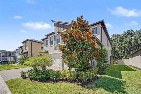 21590 Violet Periwinkle Drive, Land O Lakes FL - photo 8 of 50