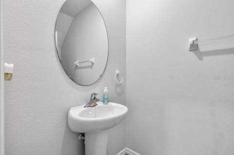 3703 Globe Thistle Drive, Tampa FL - photo 7 of 37