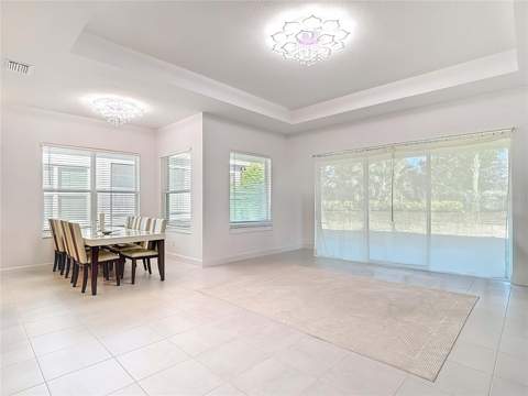 32676 Tree Of Life Avenue, Wesley Chapel FL - photo 21 of 47
