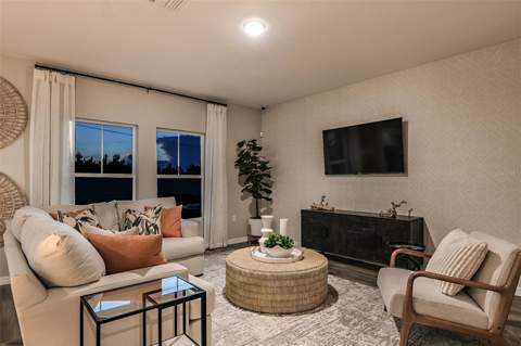 31685 Oyster Trellis Lane, Wesley Chapel FL - photo 17 of 27