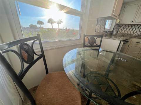 9 Haig Place #101, Dunedin FL - photo 9 of 18