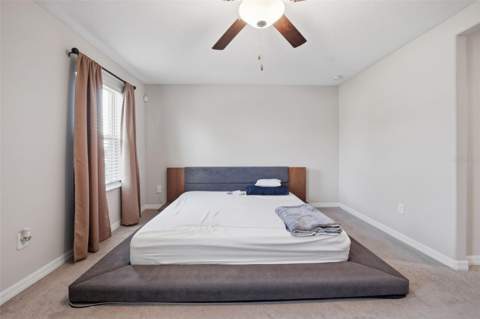 4459 Globe Thistle Drive, Tampa FL - photo 23 of 56