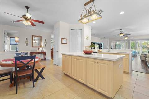 4413 Caliquen Drive, Brooksville FL - photo 14 of 48