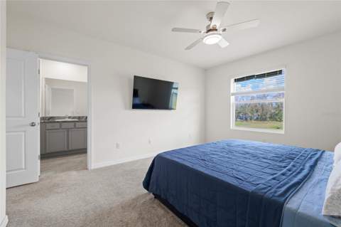 1287 Colt Creek Place, Wesley Chapel FL - photo 19 of 36