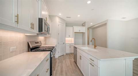 4408 Spoon Blade Drive, Parrish FL - photo 15 of 41