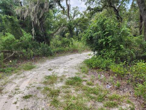 10920 SW 105th Street, Ocala FL - photo 6 of 6
