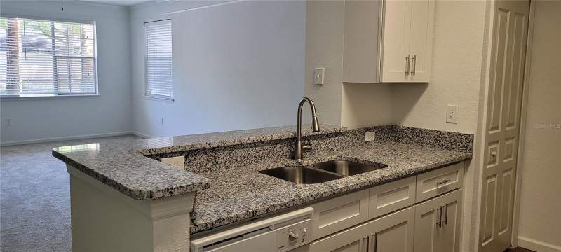 2 bedroom Condominium at 17104 Carrington Park Drive #513, Jade At Tampa Palms, Tampa — photo 3