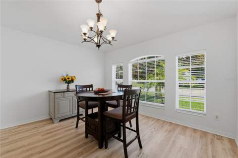 19406 Sunset Bay Drive, Land O Lakes FL - photo 13 of 48